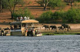 Afrikas Elefantenparadies: Mit SafariScout.com zum Chobe Nationalpark